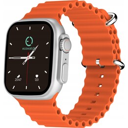 EcoWatch EW02 Silver