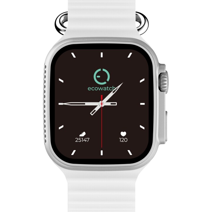 EcoWatch EW02 SILBER