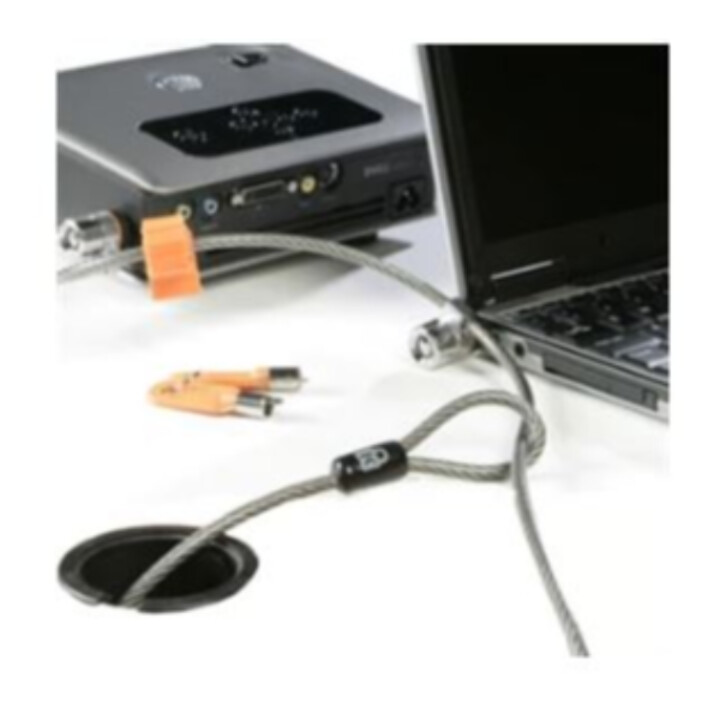 Kensington Microsaver-Doppelschloss