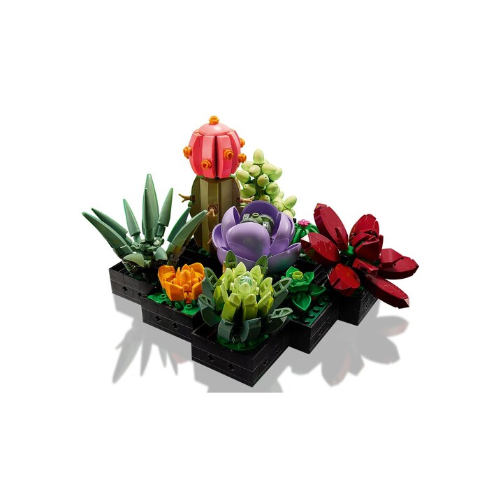 ICÔNES LEGO 10309 SUCCULENTES