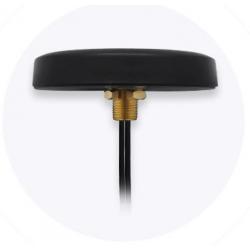 Teltonika Combo Mimo Mobile Tetto Antenna SMA 003r-00252 Pr1kcl25