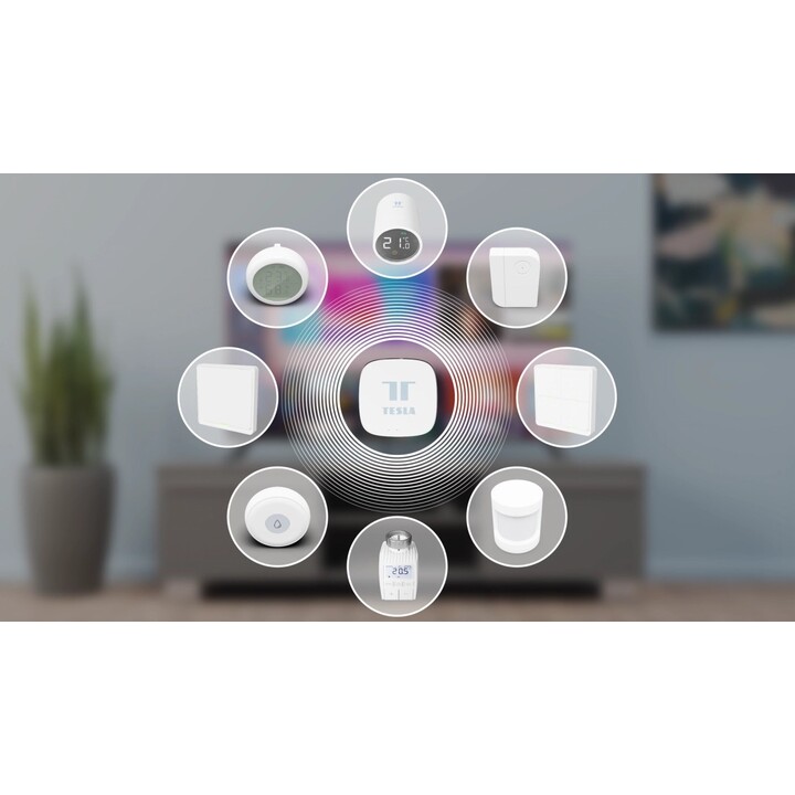 Contrôleur de dispositif Tesla TSL-GW-GT01ZG Smart Zigbee Hub