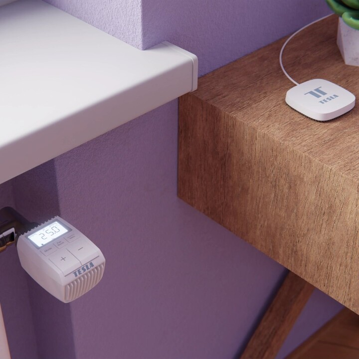 Contrôleur de dispositif Tesla TSL-GW-GT01ZG Smart Zigbee Hub