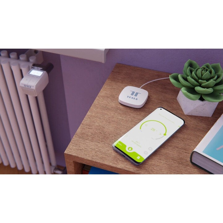 Contrôleur de dispositif Tesla TSL-GW-GT01ZG Smart Zigbee Hub