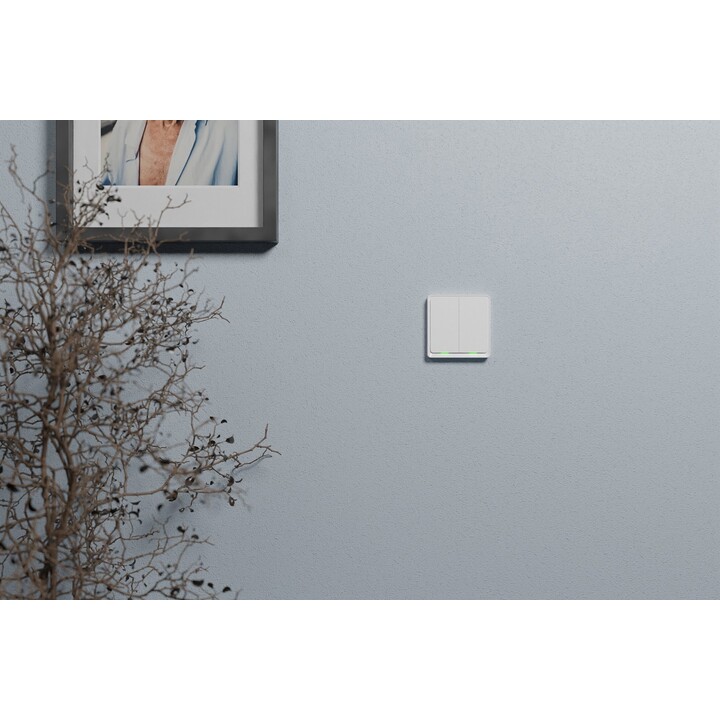 Double interrupteur TESLA TSL-SWI-ZIGBEE2 Smart Switch Dual ZigBee