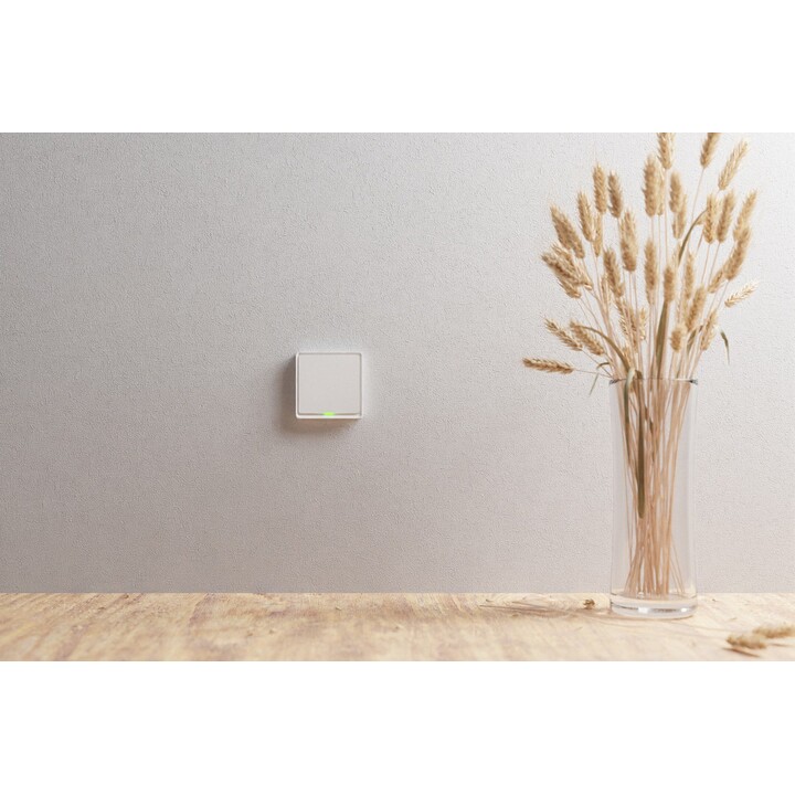 TESLA TSL-SWI-ZIGBEE1 ZigBee Smart Switch Single Switch