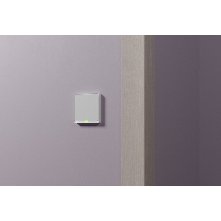 TESLA TSL-SWI-ZIGBEE1 ZigBee Smart Switch Single Switch