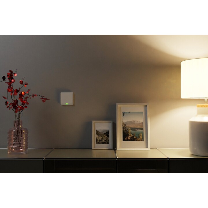 TESLA TSL-SWI-ZIGBEE1 Smart Switch ZigBee Einzelschalter