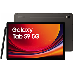 Samsung Galaxy Tab S9 X716 8GB 128GB 5G Enterprise Edition Grey