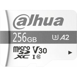 Dahua Tf-P100 Speicherkarte 256 GB
