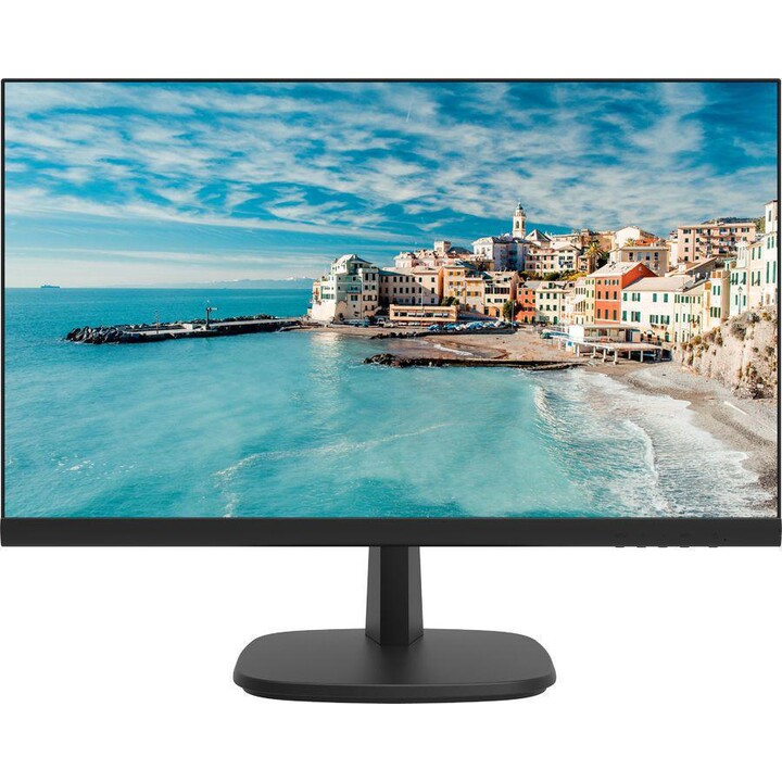 HIKVISION DS-D5022FN00 Monitor