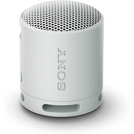 Sony SRS-XB100 Portable Monophonic Speaker Grey