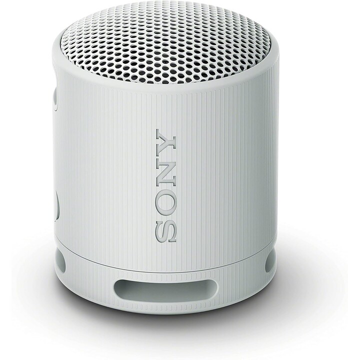 Sony SRS-XB100 Altoparlante Monofonico Portatile Grigio