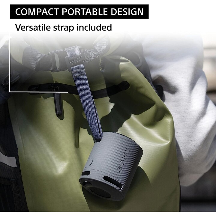 Sony SRS-XB100 Altoparlante Monofonico Portatile Grigio