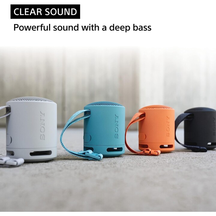 Sony SRS-XB100 Haut-parleur monophonique portable gris