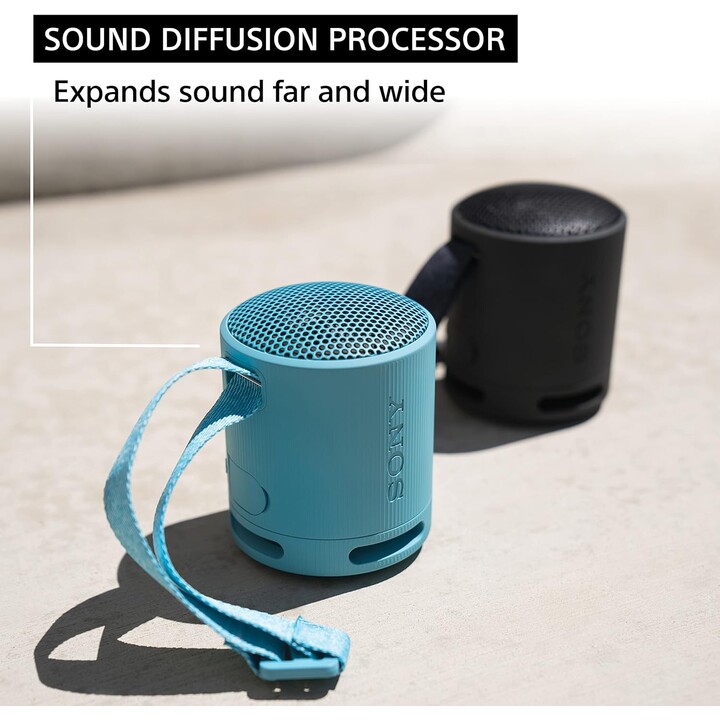 Sony SRS-XB100 Haut-parleur monophonique portable gris