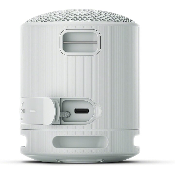 Sony SRS-XB100 Altoparlante Monofonico Portatile Grigio