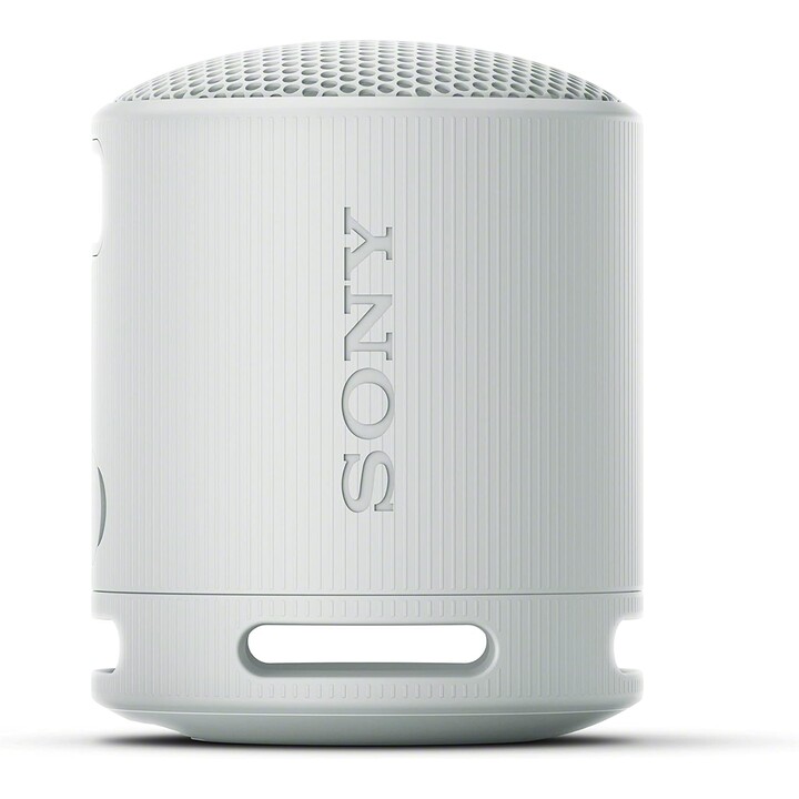 Sony SRS-XB100 Altoparlante Monofonico Portatile Grigio