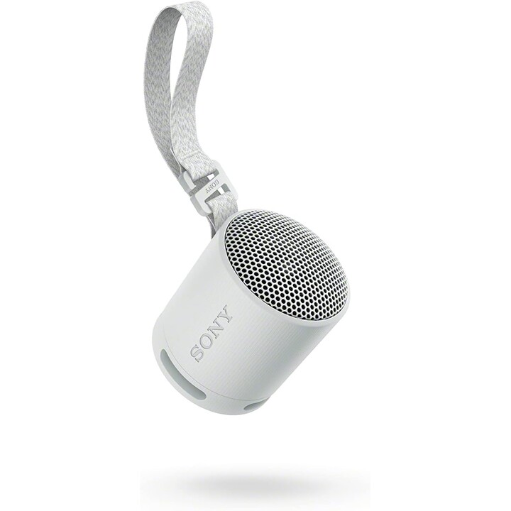 Sony SRS-XB100 Altoparlante Monofonico Portatile Grigio