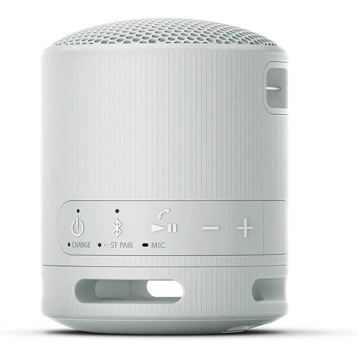 Sony SRS-XB100 Altoparlante Monofonico Portatile Grigio