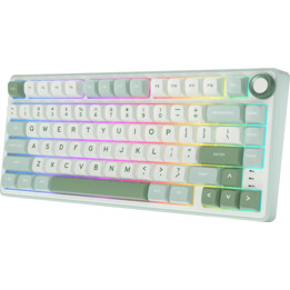 Royal Kludge RKR75 ISO-ES Switch Hot-Swappable Prata Velocidade