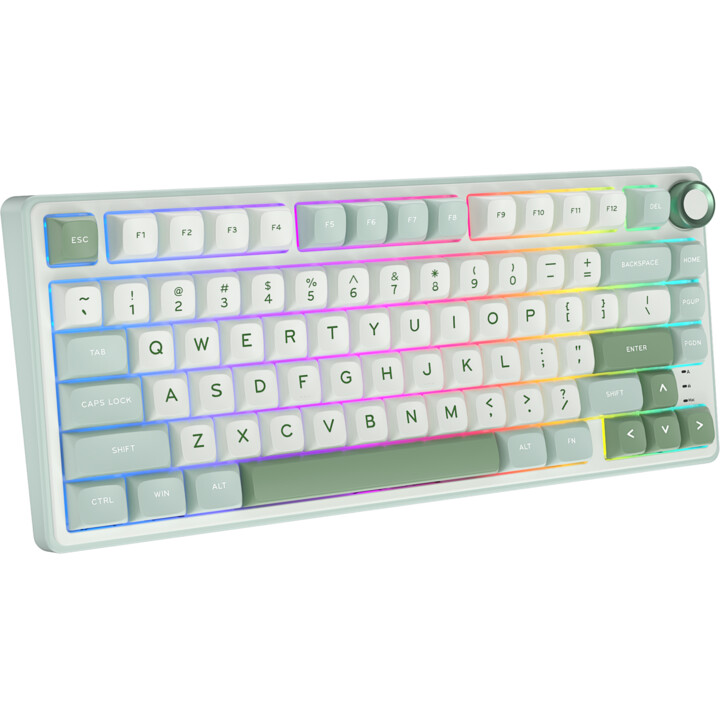 Royal Kludge RKR75 ISO-ES Commutateur remplaçable à chaud Argent Vitesse