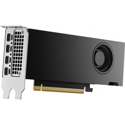 Pny Nvidia RTX 2000 Ada 16Go GDDR6 LowProfile