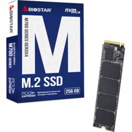 Disco SSD Biostar M760 256GB