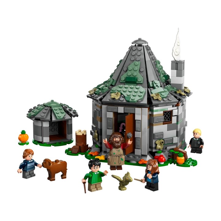 LEGO HARRY POTTER 76428 La hutte de Hagrid - Une visite inattendue