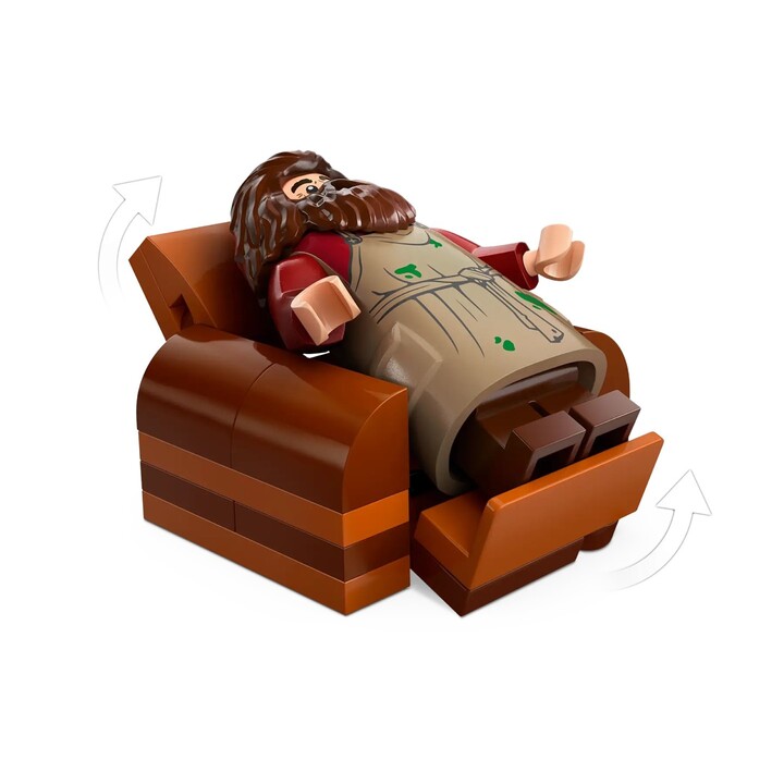 LEGO HARRY POTTER 76428 La hutte de Hagrid - Une visite inattendue