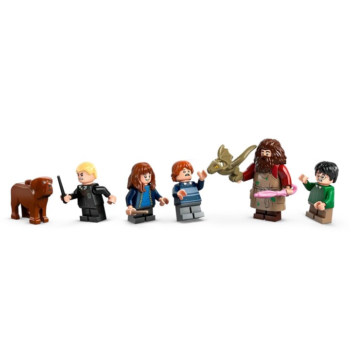 LEGO HARRY POTTER 76428 La hutte de Hagrid - Une visite inattendue