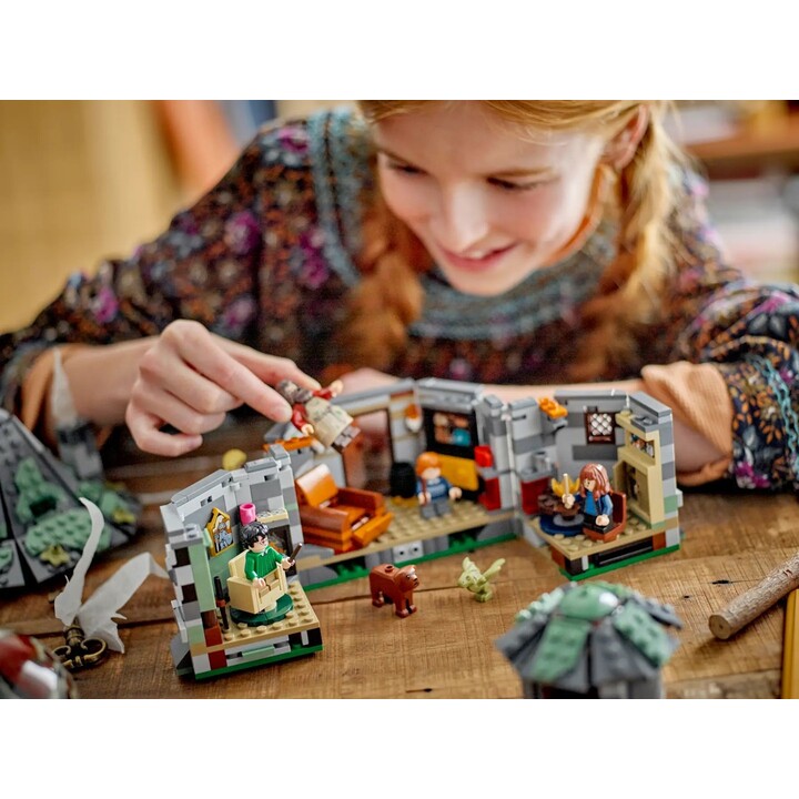 LEGO HARRY POTTER 76428 La hutte de Hagrid - Une visite inattendue