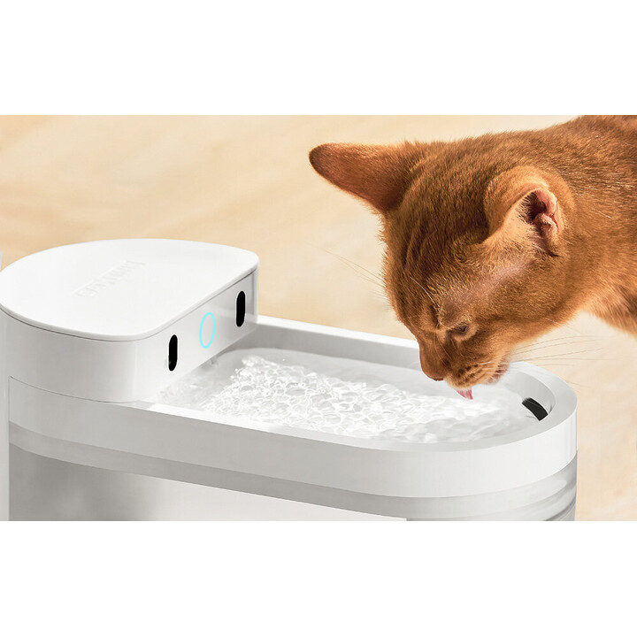 Automatic wireless pet water fountain Catlink Pure 3 White
