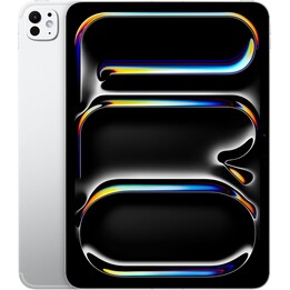 Apple iPad Pro 11 2024 5° 256GB Wifi Argento