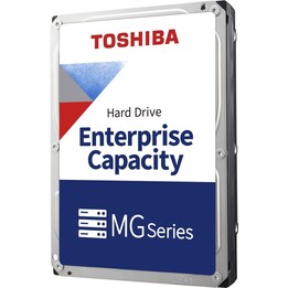 Toshiba MG10 - 22 To