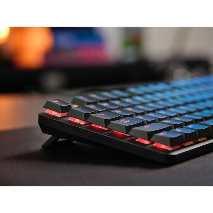 Trust GXT 866 TORIX Tastatur USB QWERTY US International Schwarz