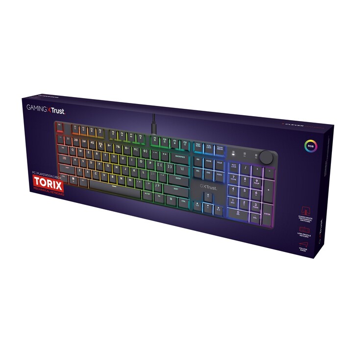 Trust GXT 866 TORIX Tastatur USB QWERTY US International Schwarz