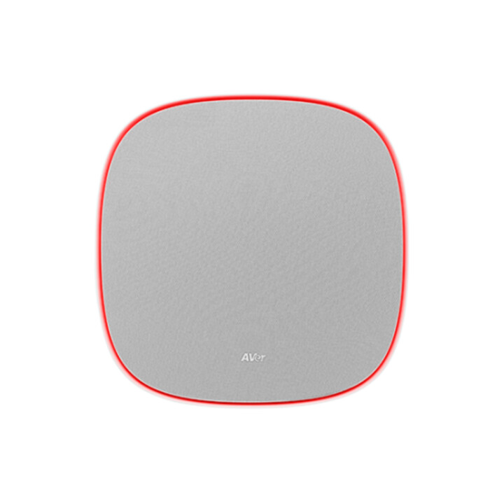 Aver Fone700 Haut-Parleur Gris