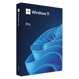 CAIXA profissional USB PL de Microsoft Windows 11