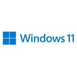 Microsoft Windows 11 Pro Producto empaquetado completo (FPP; full packaged product) 1 licencia(s)