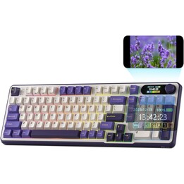 Royal Kludge RKS98 ISO-ES Hot-Swap-fähiger Switch Brown Wireless Blackberry