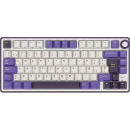 Royal Kludge RKR75 ISO-ES Hot-Swappable Switch Silver Speed Blackberry