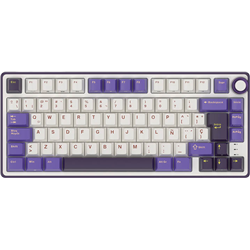 Royal Kludge RKR75 ISO-ES Switch Hot-Swappable Silver Speed Blackberry