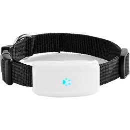 TKSTAR TK911 Wi-Fi IP66 3,7 V 500 mAh Bianco / Nero - Rastreador GPS per mascotte