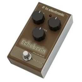 TC Electronic Echobrain Analog Delay Effetto tipo di ritardo analogico