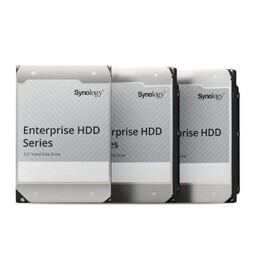 Synology Enterprise Series Disco duro 20TB 3.5 pulgadas SATA 3 NAS