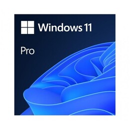 Microsoft Windows 11 Pro 1 Lizenz(en)