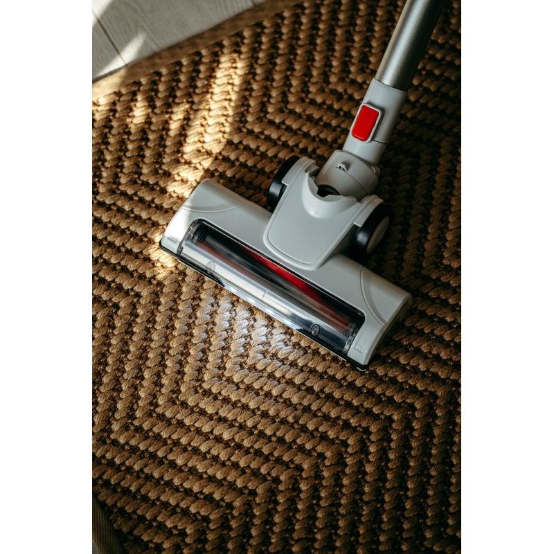 Aspiradora vertical Adler AD 7051