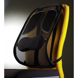 Lumbar Support Mesh Professor Fellowes 8029901