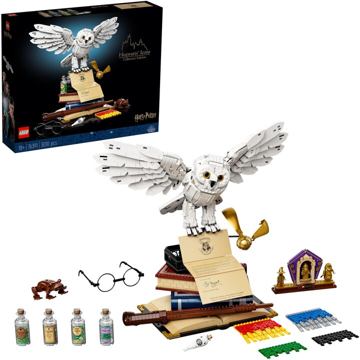 Icone LEGO® Harry Potter Hogwarts™ – Edizione da collezione 76391